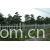 临朐县金利达门窗厂-供应潍坊优质的PVC护栏：PVC护栏生产